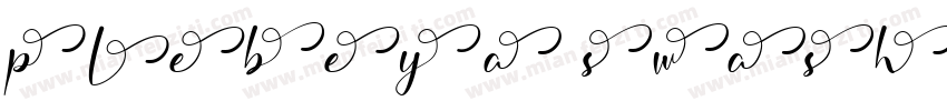 Plebeya Swash 4字体转换